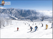 日本苗场滑雪中毒者方案，市价五折起今年冬天最超值的滑雪行程