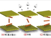 显示器小知识–什么是TN、VA、IPS?