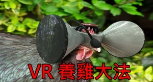 疯狂构想！用VR装置养鸡！