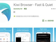 Android专用《KiwiBrowser》浏览器，开网页速度快又好