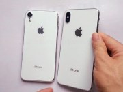 iPhoneXPlus6.5吋、iPhone6.1吋实机影片曝光