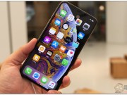 iOS12接棒才将满月已迅速突破50%安装率