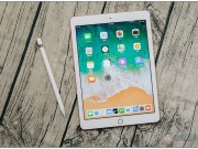 疑似iPadmini5的保护壳现身，传2020年的新iPhone才不会有浏海