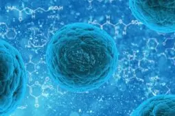 干细胞治疗新发展，科学家用 CRISPR 编辑成功让免疫系统“无视”移植干细胞