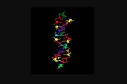 科学家成功合成含 8 种碱基的 DNA 结构，外星生命出现更多想像空间
