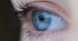 利用眼盲小鼠寻找导致眼睛疾病的遗传原因