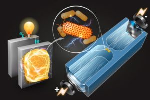 MIT 开发微射流技术，细菌产电鉴定效率提升