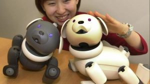 Sony AIBO 重出江湖？消息指 Sony 明年春天推最新智慧机械犬