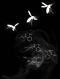 DEET 替代物现身 未来可扩及植物虫害防治