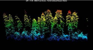 探索人眼看不到的世界，考古学家藉 LiDAR 发现古文明