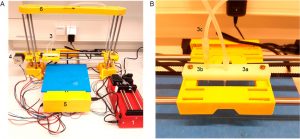 科学家利用 3D 打印细菌制造石墨烯