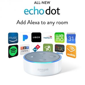 6 岁女孩跟 Amazon Echo 聊天，妈妈却收到 5000 元娃娃屋订单