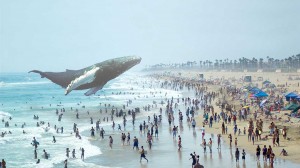 还没有发表过产品的 Magic Leap 又拿了一轮钱