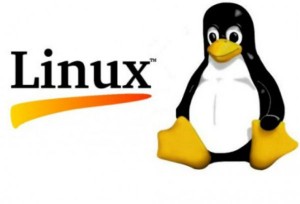 勒索软件转攻 Linux，逾 2,000 个网站遭恶意加密