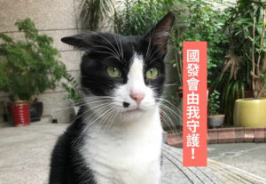 财经部会拼行销，国发会打猫咪牌、财政部吹漫画风