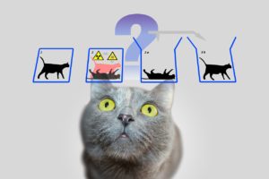 薛定谔的猫不再既死又活：科学家称能预测粒子的量子跃迁行为