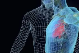 Caption Health 心脏 AI 软件获 FDA 批准，协助医生快速测量心脏射血分数
